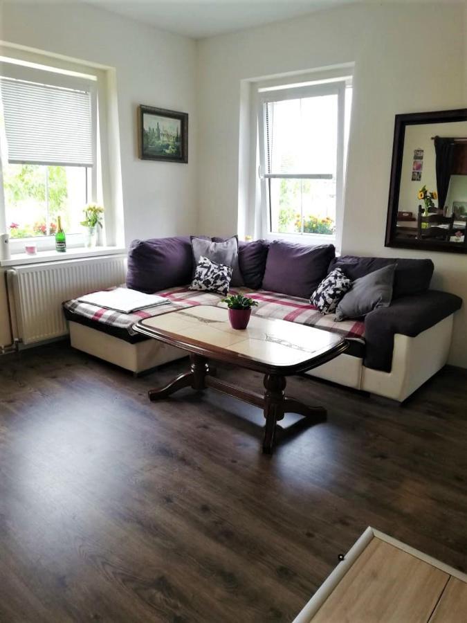 Ubytovani U Rybnicka Villa Arnoltice u Decina Exteriör bild