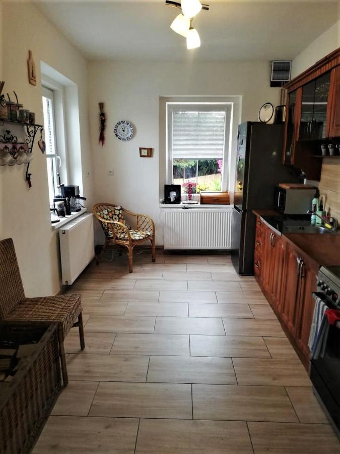 Ubytovani U Rybnicka Villa Arnoltice u Decina Exteriör bild