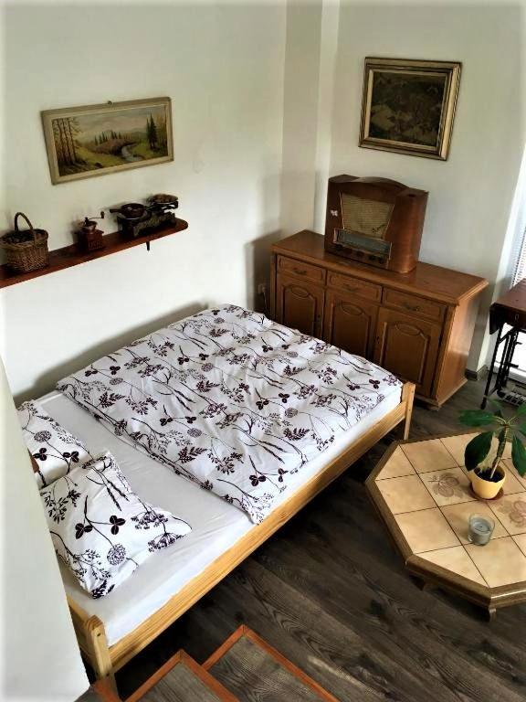 Ubytovani U Rybnicka Villa Arnoltice u Decina Exteriör bild