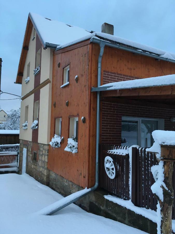 Ubytovani U Rybnicka Villa Arnoltice u Decina Exteriör bild